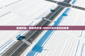 诺维斯基：榜眼秀的涅槃与MVP光环背后的故事