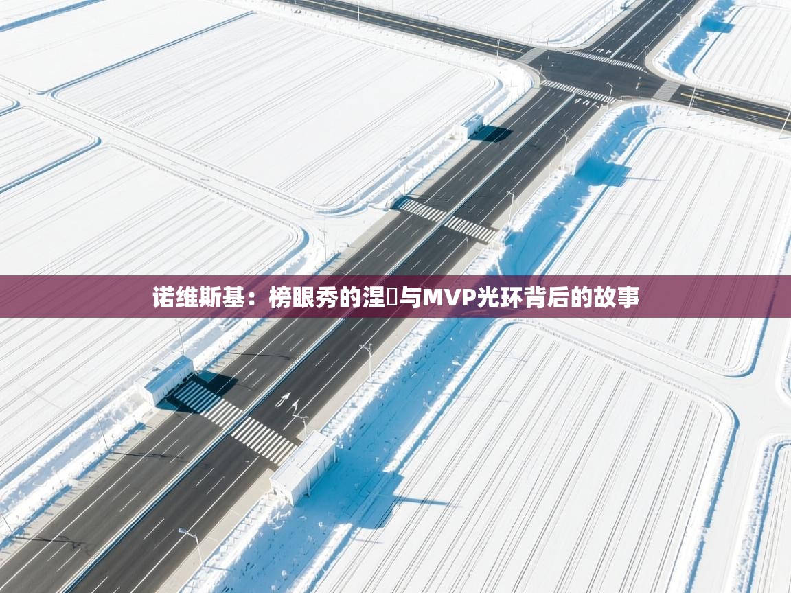 诺维斯基：榜眼秀的涅槃与MVP光环背后的故事  第1张