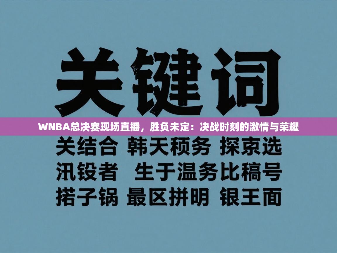 WNBA总决赛现场直播，胜负未定：决战时刻的激情与荣耀  第1张