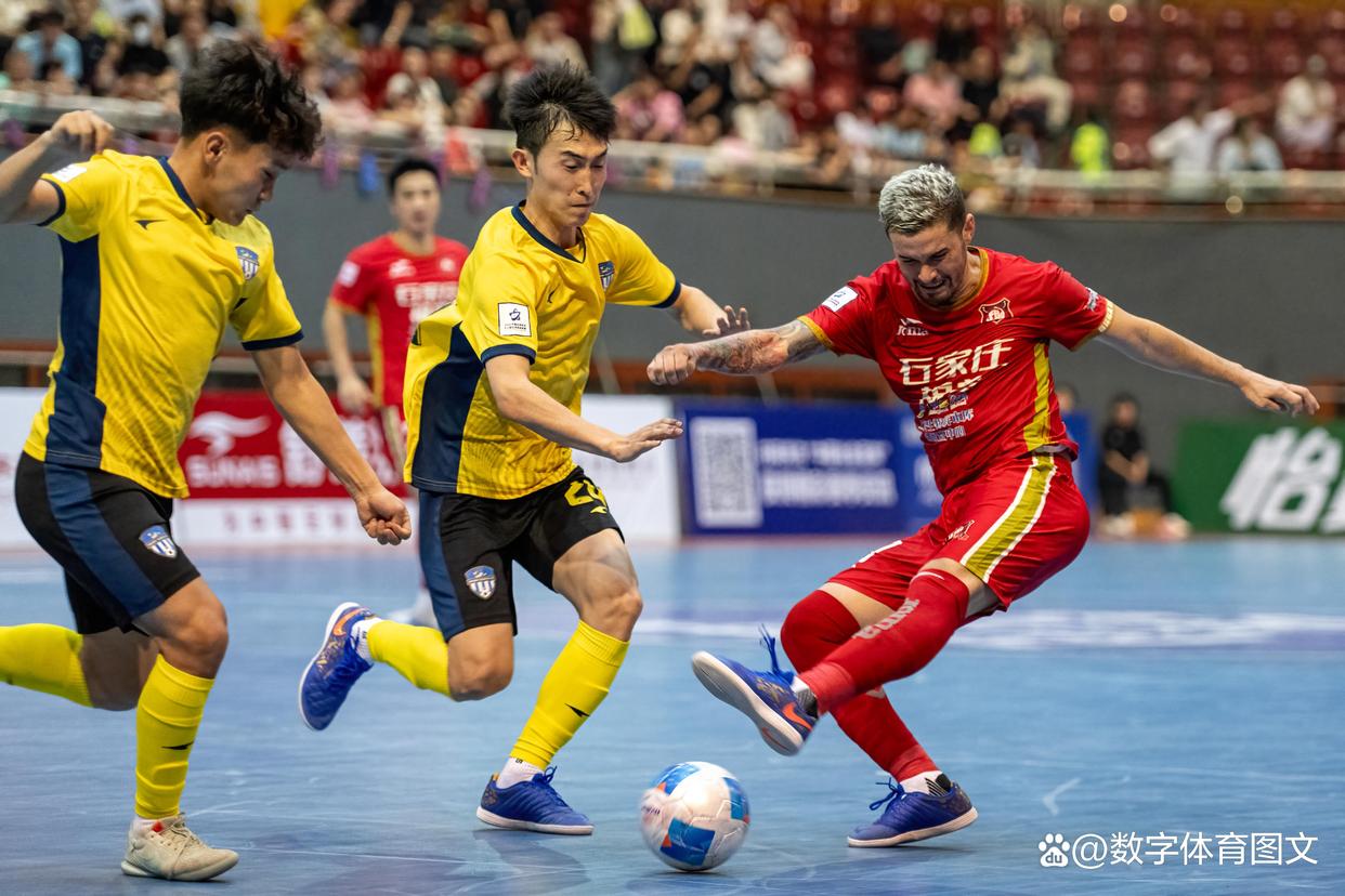 石家庄主场失利，球队受尽打击